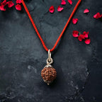 7 Mukhi Nepali Rudraksha