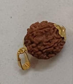 7 Mukhi Nepali Rudraksha